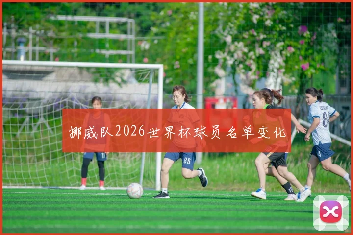 挪威队2026世界杯球员名单变化