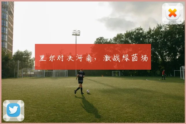 里尔对决河南，激战绿茵场