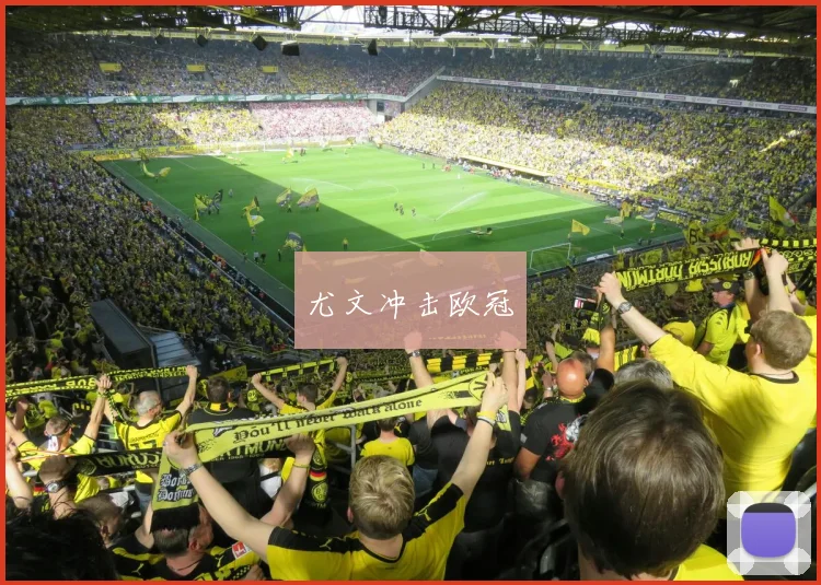 尤文冲击欧冠
