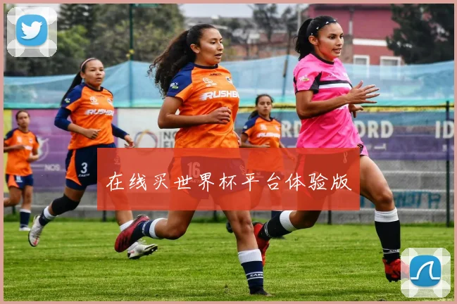 在线买世界杯平台体验版