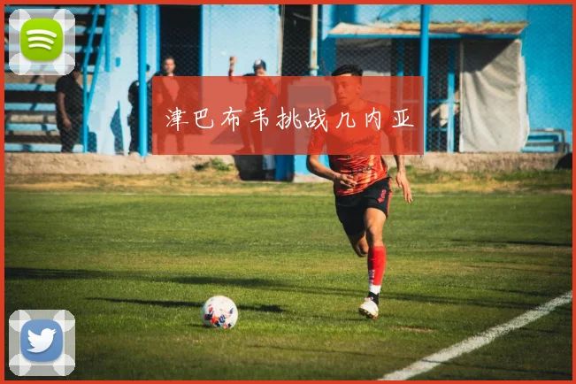 津巴布韦挑战几内亚