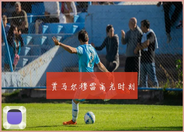 贾马尔穆雷高光时刻