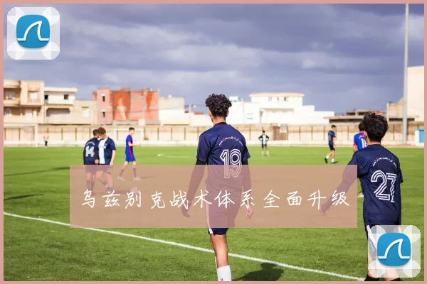 乌兹别克战术体系全面升级