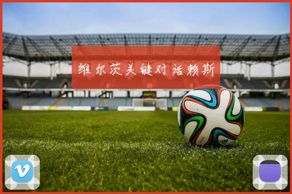 维尔茨关键对话赖斯