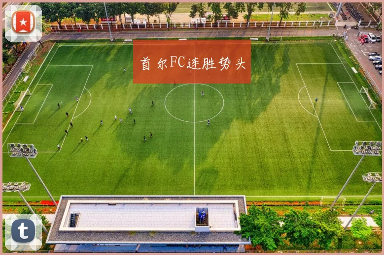 首尔FC连胜势头