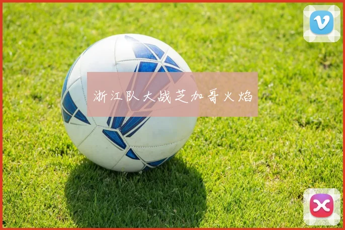 浙江队大战芝加哥火焰