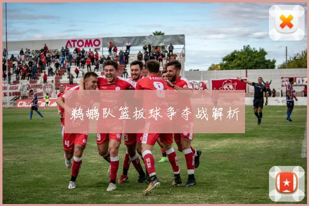 鹈鹕队篮板球争夺战解析