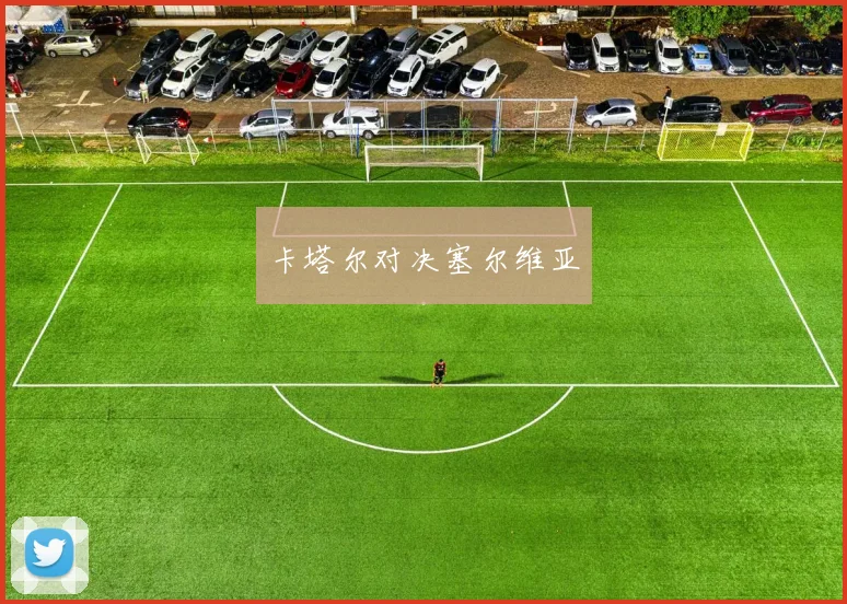 卡塔尔对决塞尔维亚