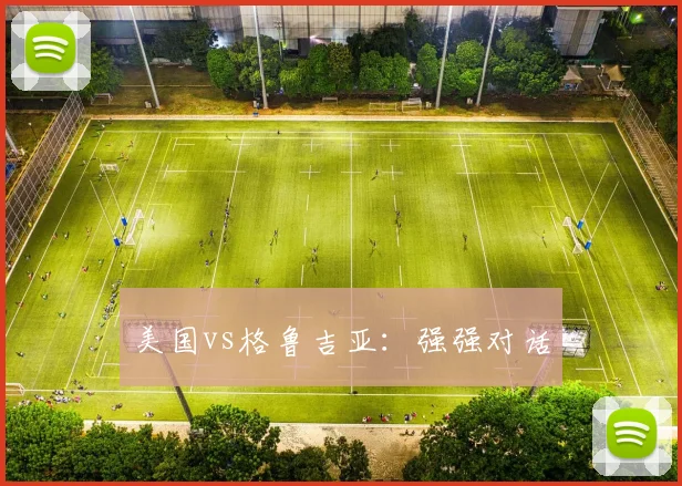 美国vs格鲁吉亚：强强对话