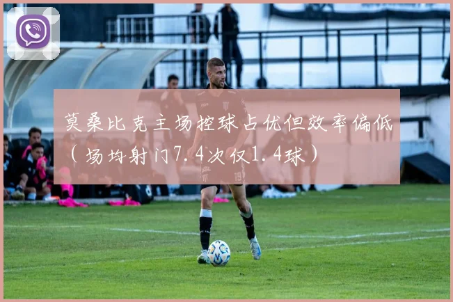 莫桑比克主场控球占优但效率偏低（场均射门7.4次仅1.4球）