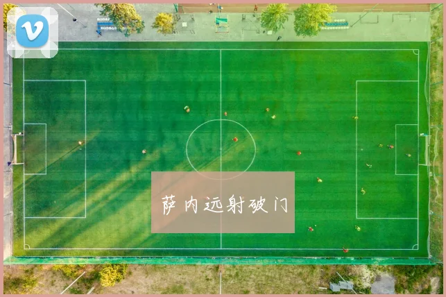 萨内远射破门