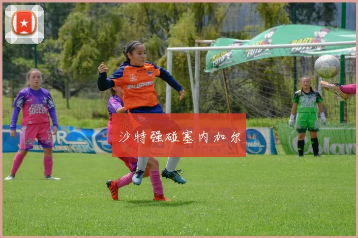 沙特强碰塞内加尔