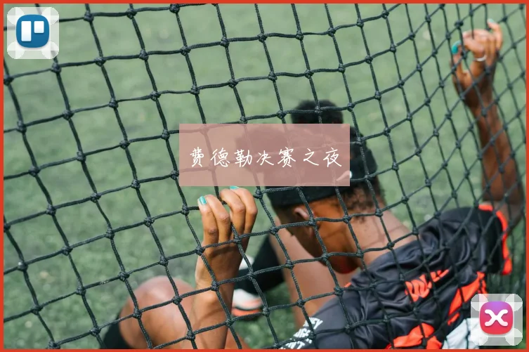 费德勒决赛之夜