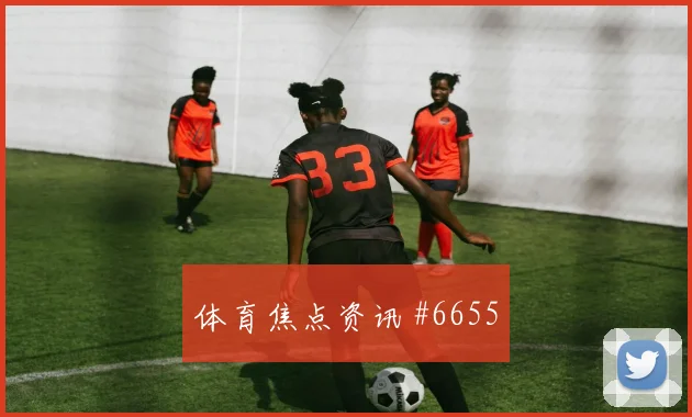 法甲尼斯里尔门线救险争议集