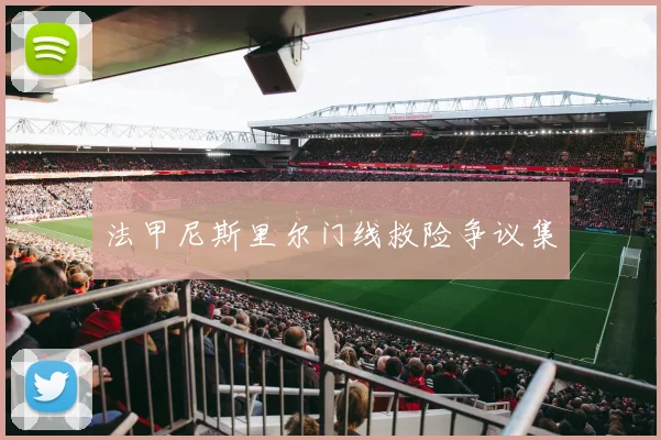法甲尼斯里尔门线救险争议集
