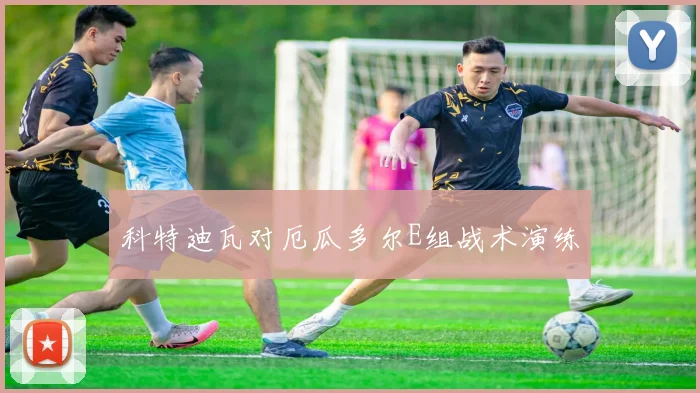 科特迪瓦对厄瓜多尔E组战术演练