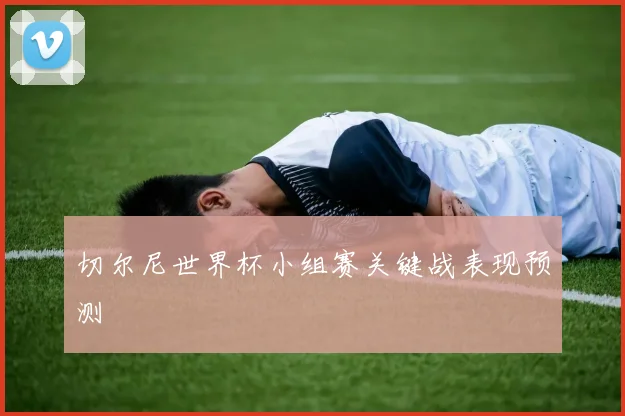 切尔尼世界杯小组赛关键战表现预测