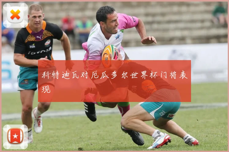 科特迪瓦对厄瓜多尔世界杯门将表现