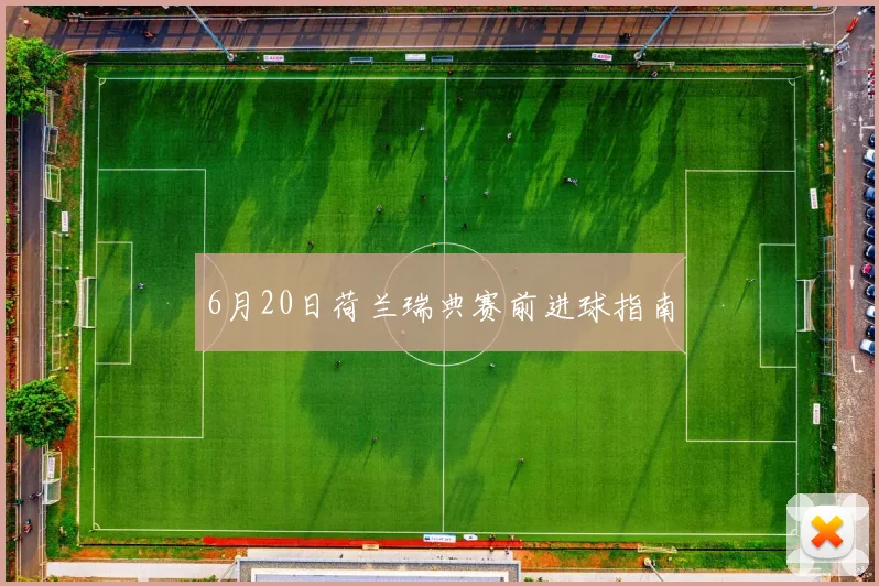 6月20日荷兰瑞典赛前进球指南