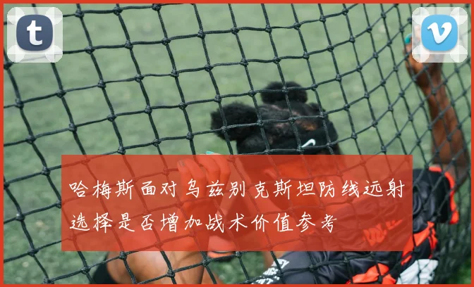 哈梅斯面对乌兹别克斯坦防线远射选择是否增加战术价值参考