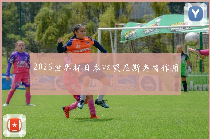2026世界杯日本vs突尼斯老将作用
