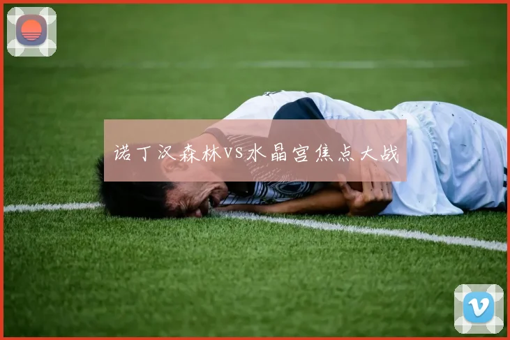诺丁汉森林vs水晶宫焦点大战